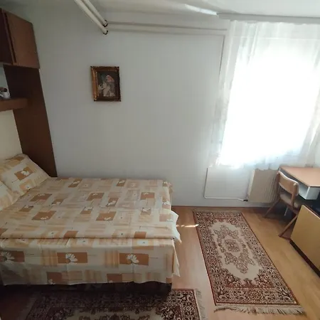 Arsic 2 Apartment Vrnjacka Banja