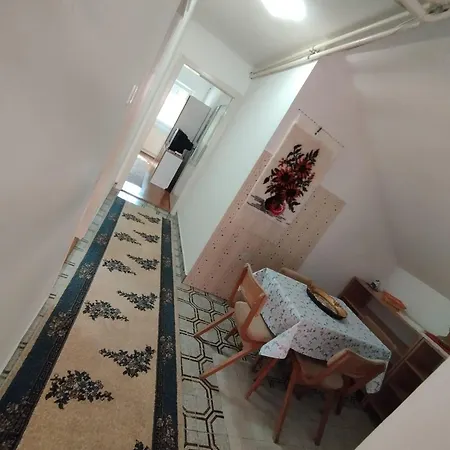 Apartment Arsic 2 *